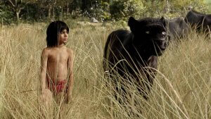 「野生児」と社会でのふるまい