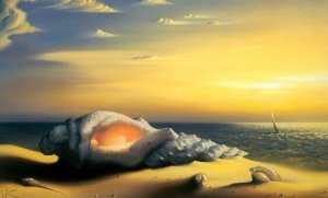 島皮質:感情と共感の源