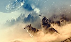 ネイティブ・アメリカンの狼まじない