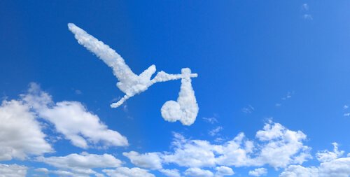 思考力の糧になる映画『はじまりへの旅』