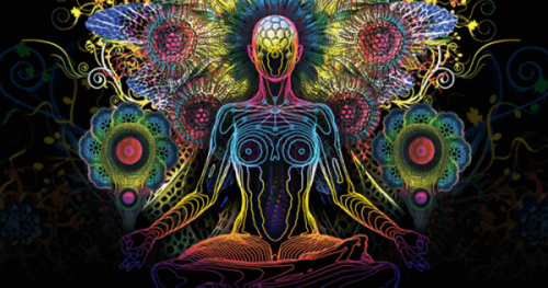 カラフルな人体