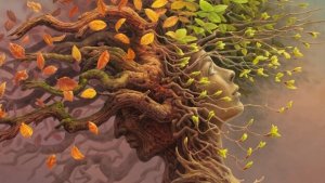 認知的予備力:脳の発達における決定的な一歩