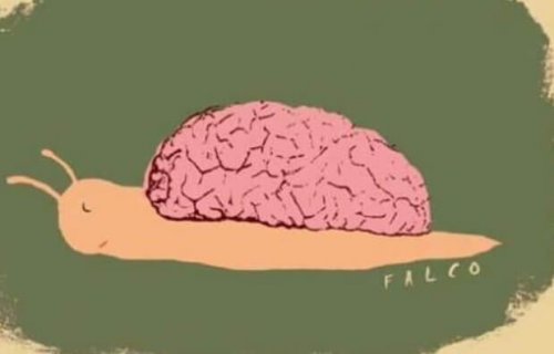 脳を背負うカタツムリ