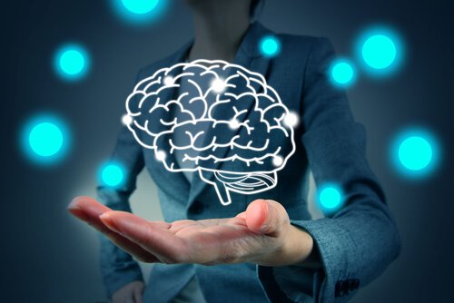 手のひらの上の脳