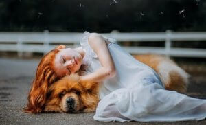 視交叉上核:人間の体内時計