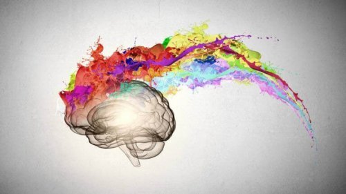 脳と色