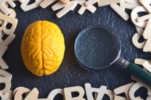 実験心理学とは?