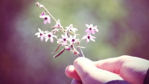 小さな花