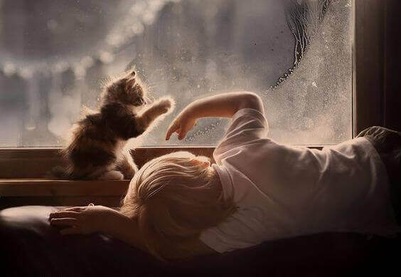 自閉症の息子への公開状