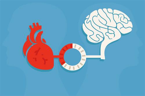 脳と心臓