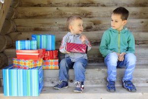 兄弟の敵対:上の子が場所をとられる時