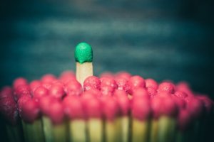 社会的権力:定義と種類
