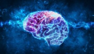精神生理学とは?