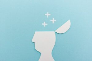 スタンバーグの知能の三頭理論