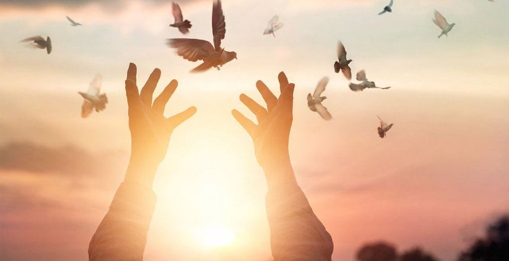 生きがい:人生を輝かせるものとは