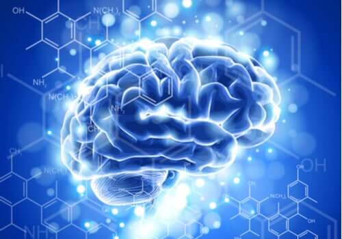 脳神経倫理学の特徴と発展