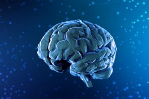 神経科学の歴史