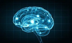 生物心理学における研究方法