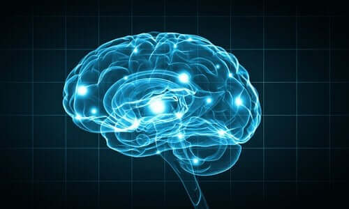 生物心理学における研究方法