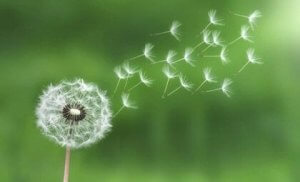 最小努力の法則を使ってストレスをコントロールしよう