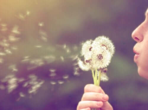 何も期待しなければ、失うものはない