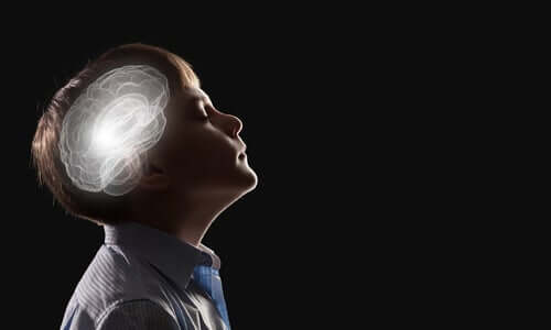 直観 神経生物学