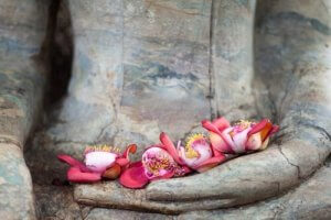 仏教における４つの愛の見方