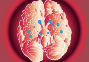 驚くべき脳神経とその働き