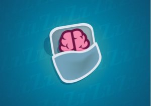 眠っている間にニューロンでは何が起こっているのか
