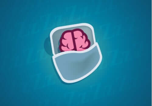 眠っている間にニューロンでは何が起こっているのか