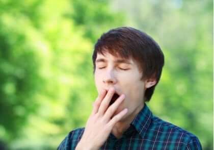 あくび 脳 クールダウン