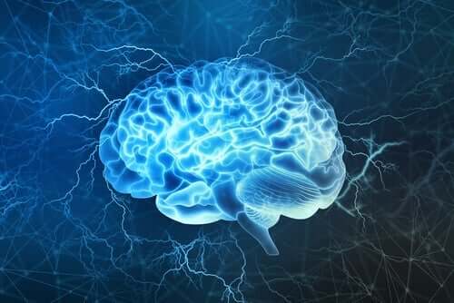 脳の再構築　ブルー・ブレイン・プロジェクト　歴史