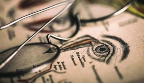 オプトグラフィー 19世紀 科学