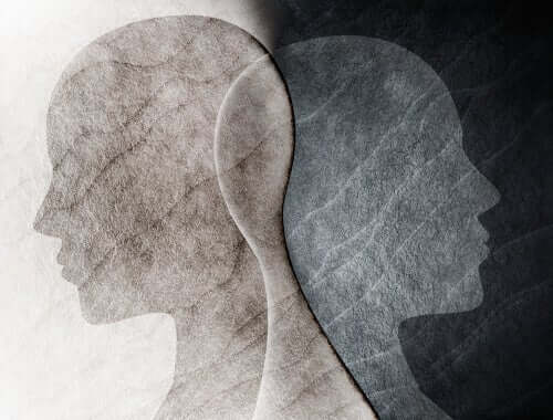 遺伝学と精神分析学の理論：心理性的発達段階