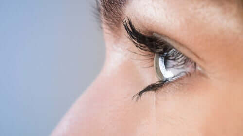 PTSDの治療に役立つEMDR療法とマインドフルネス