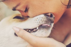 境界性人格障害患者に対するペットの犬のセラピー効果