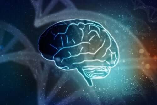 脳だけで生命維持は可能か？