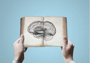 神経科学：知識は継承できるのか？