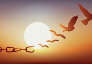 保釈の目的とは?