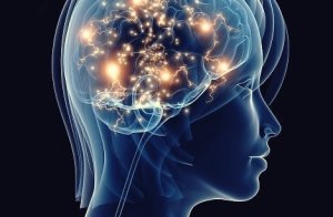 治療されないうつ病がもたらす神経組織への悪影響