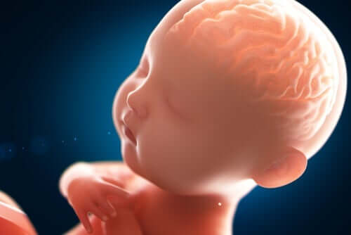 赤ちゃんの脳と心