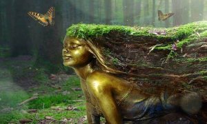 一般常識なるものはそれほど一般的ではない？