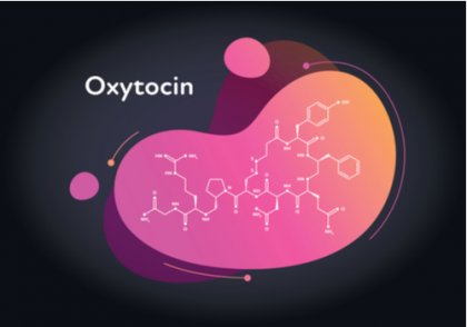 信頼 寛容さ 愛着 オキシトシンの効能とは こころの探検