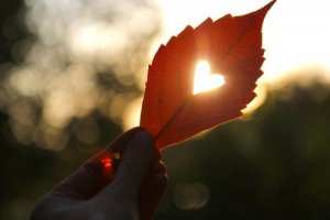 "私を頼ってください":誰かの命の恩人になり得る人々