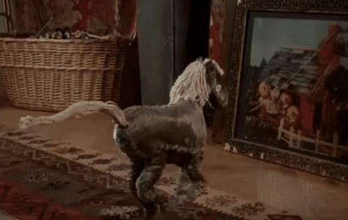 映画 恋愛睡眠のすすめ