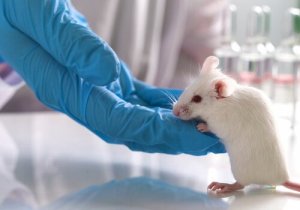 動物実験の実施に関する合意事項とは？