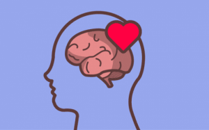 『Pon Corazon a Tu Cerebro』-感情を理解するための本