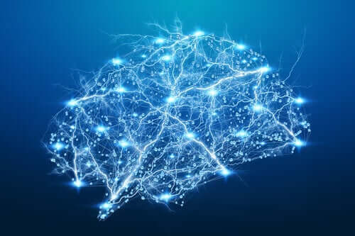 ニューロンの同期　脳活動
