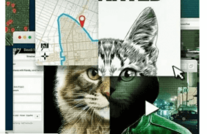 『猫いじめに断固NO!』ネット上の虐待犯を追う