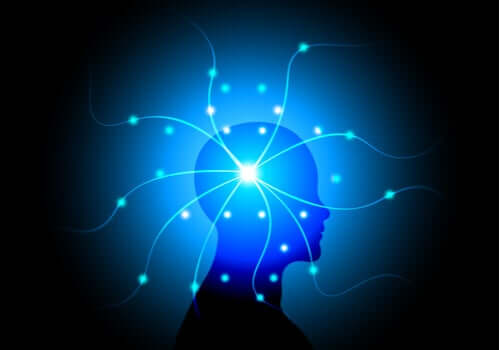 精神病理学 意識